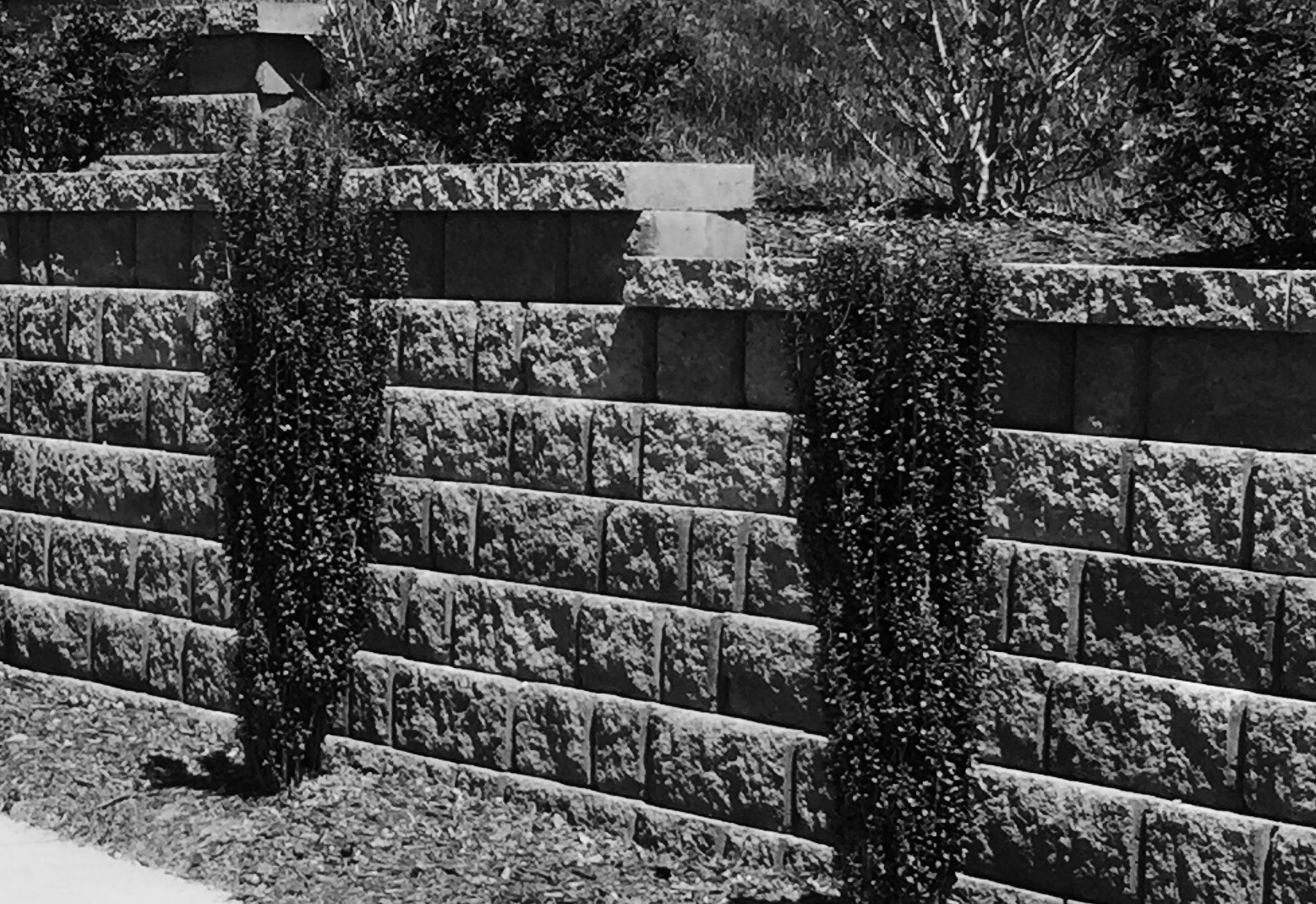 retaining walls-bw